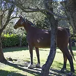 Fattoria Il Milione Florencia