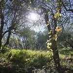 Fattoria Il Milione * Florencia