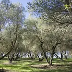 Fattoria Il Milione *