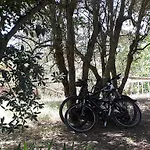Agroturismo Fattoria Il Milione