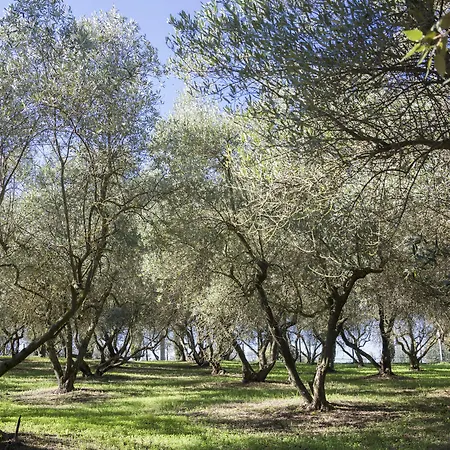 Fattoria Il Milione *