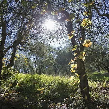 Fattoria Il Milione ファームステイ